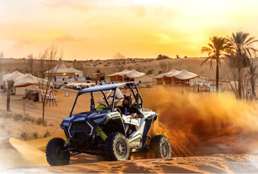 2 seater polaris Buggy