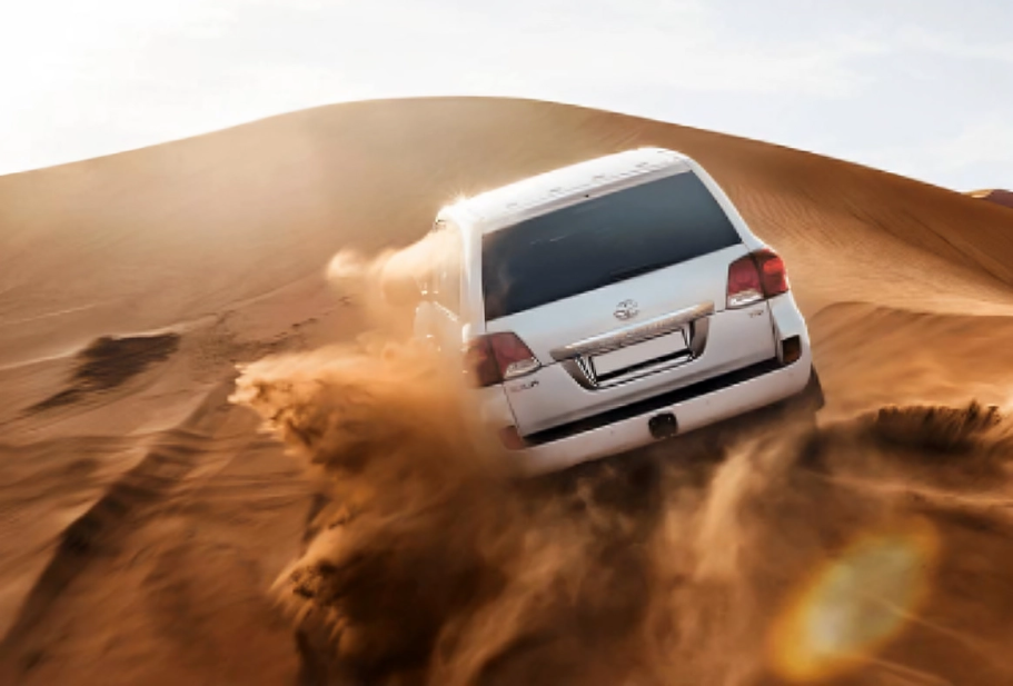 morning Desert Safari