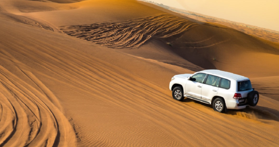 VIP Desert safari
