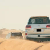 What to Expect in Desert Safari Dubai