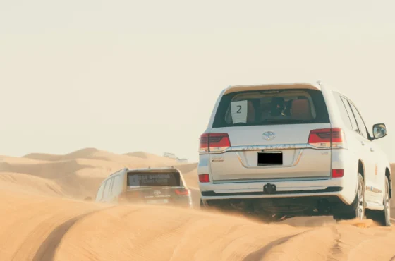 What to Expect in Desert Safari Dubai