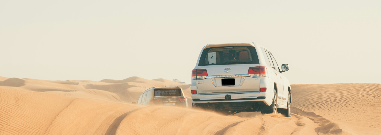 What to Expect in Desert Safari Dubai
